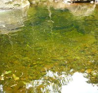 Aparados da Serra National Park (Brazil, SC-RS) - 